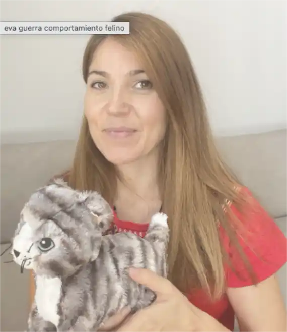 Eva Guerra es una apasionada Terapeuta Felina afincada en Donostia-San Sebastián. Su misión es acompañar a familias que atraviesan dificultades de convivencia, problemas de adaptación o estrés con sus gatos, siempre desde una mirada empática, respetuosa y centrada en las necesidades reales del animal.